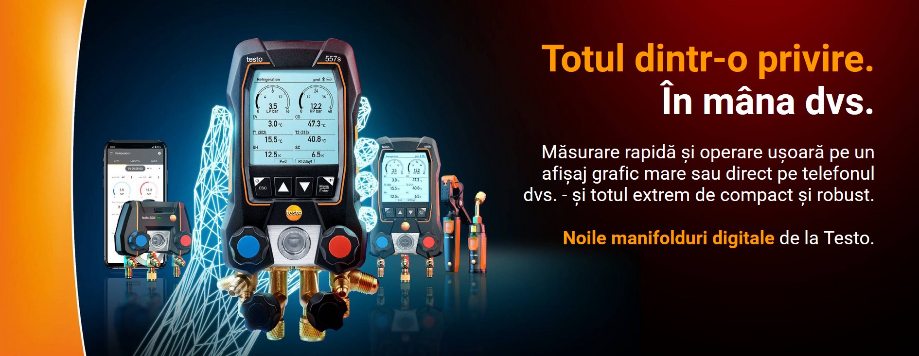 manifolduri digitale Testo